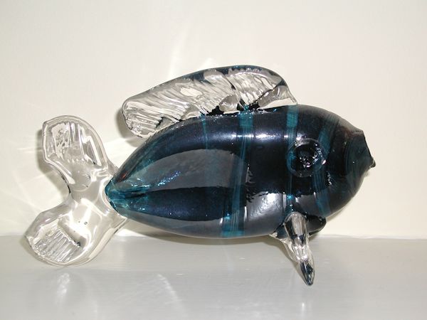 Glass Fish